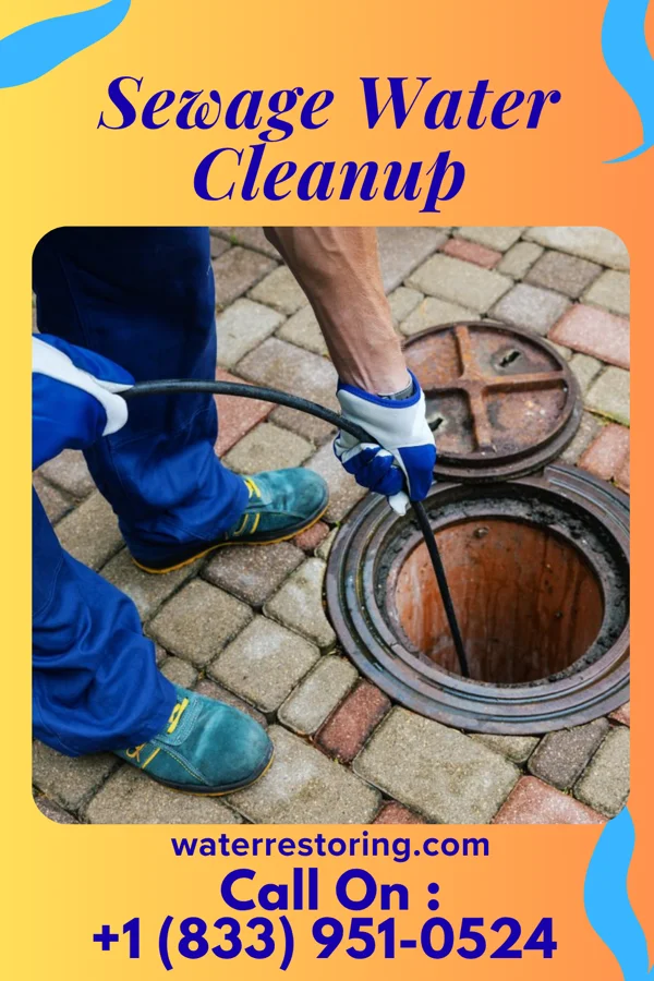 Sewage Water Cleanup in Martinsburg, OH